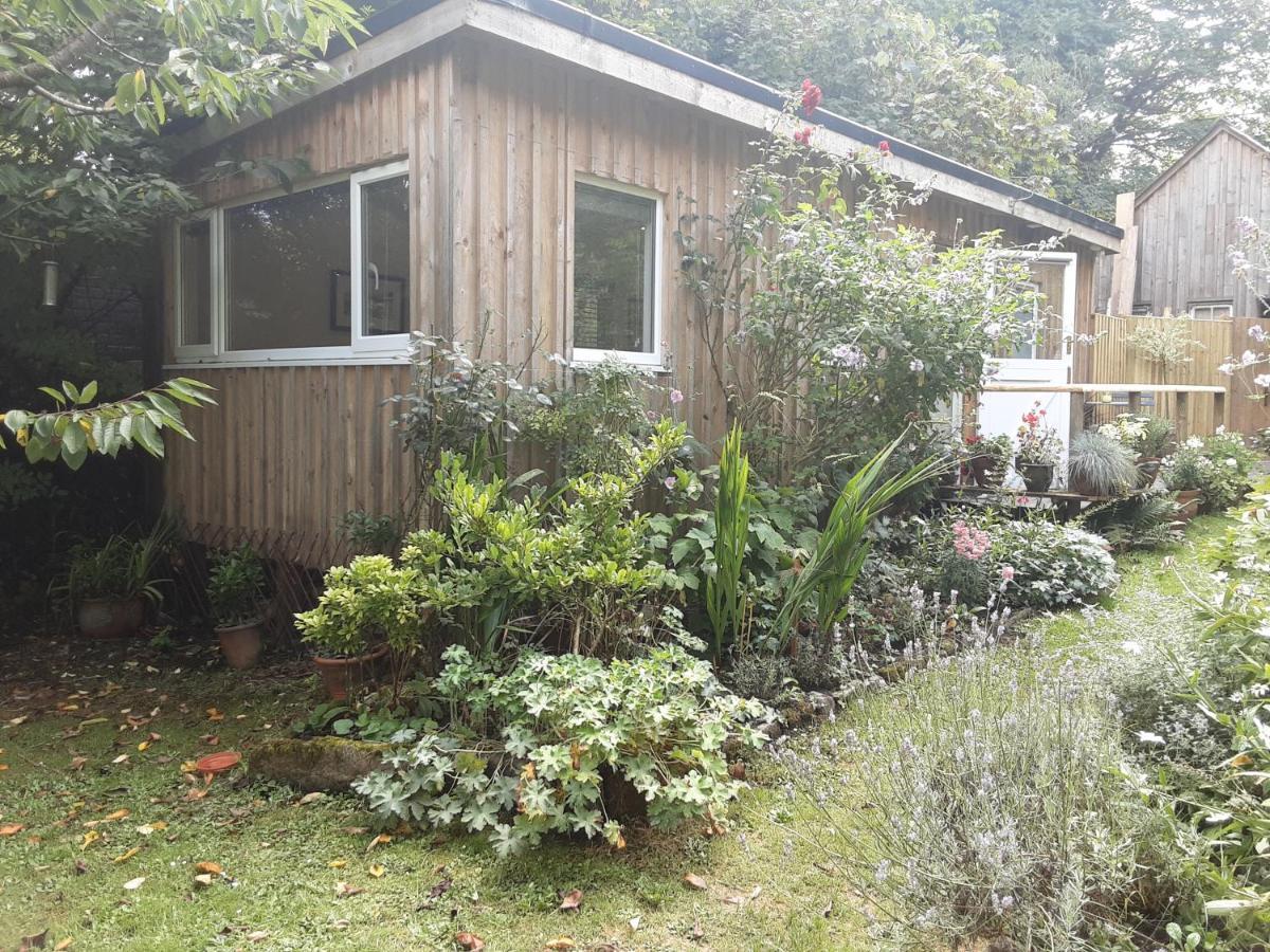 Tranquil Wood Cabin Set In A Beautiful Orchard Villa Penzance Eksteriør billede