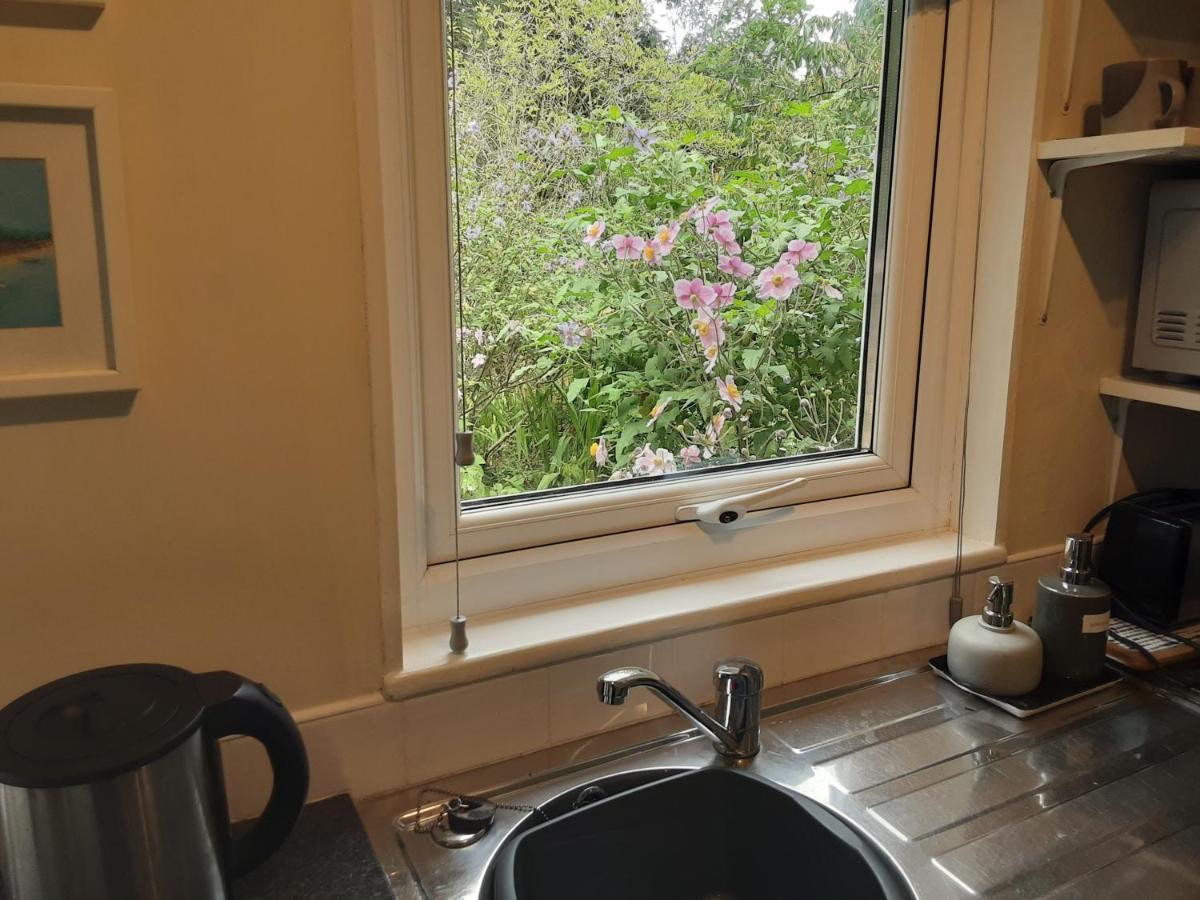 Tranquil Wood Cabin Set In A Beautiful Orchard Villa Penzance Eksteriør billede